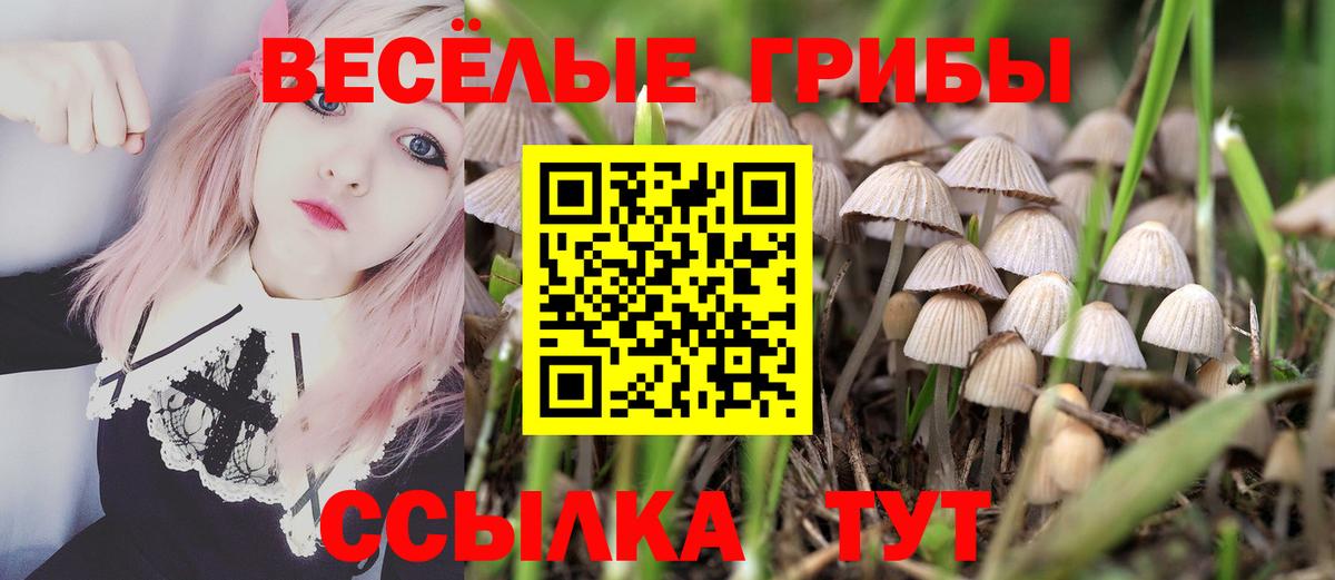 Псилоцибиновые грибы Cubensis  Вход с VPN  цена   Псилоцибиновые грибы мухоморы  Карталы 